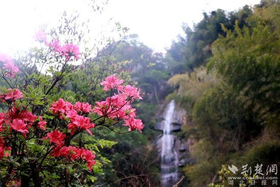 黃龍山頂，風(fēng)景如畫 黃錚 攝_副本.jpg.jpg